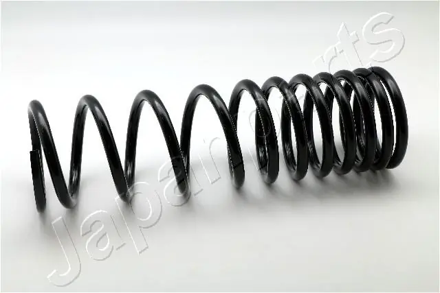 Suspension Spring ZC5504D