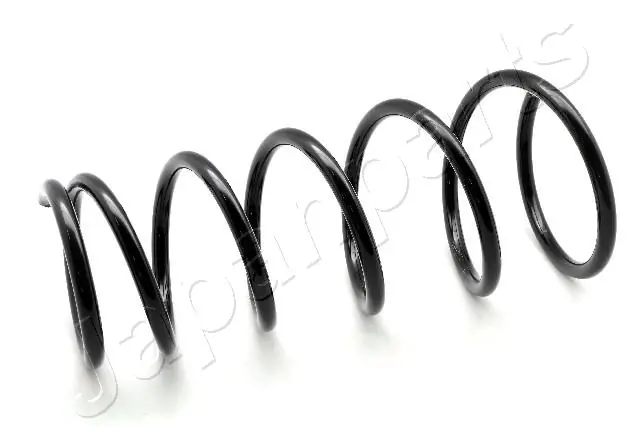 Suspension Spring ZC3786I