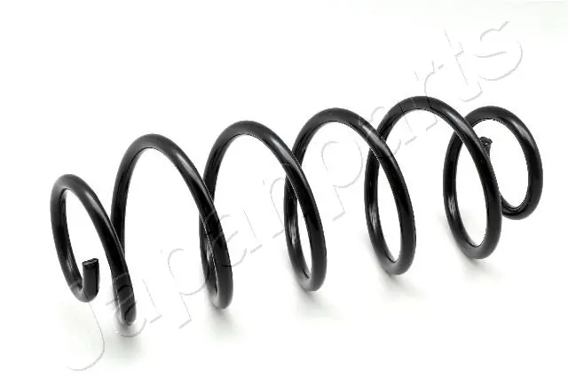 Suspension Spring ZC6119A