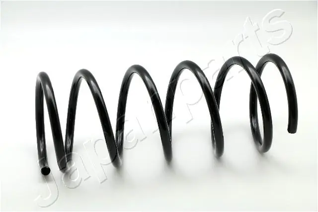 Suspension Spring ZC2979A