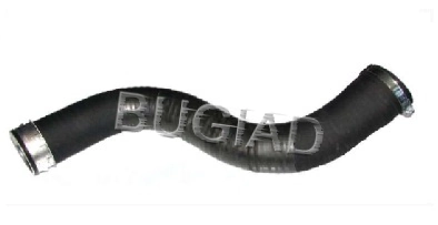 Charge Air Hose 86600