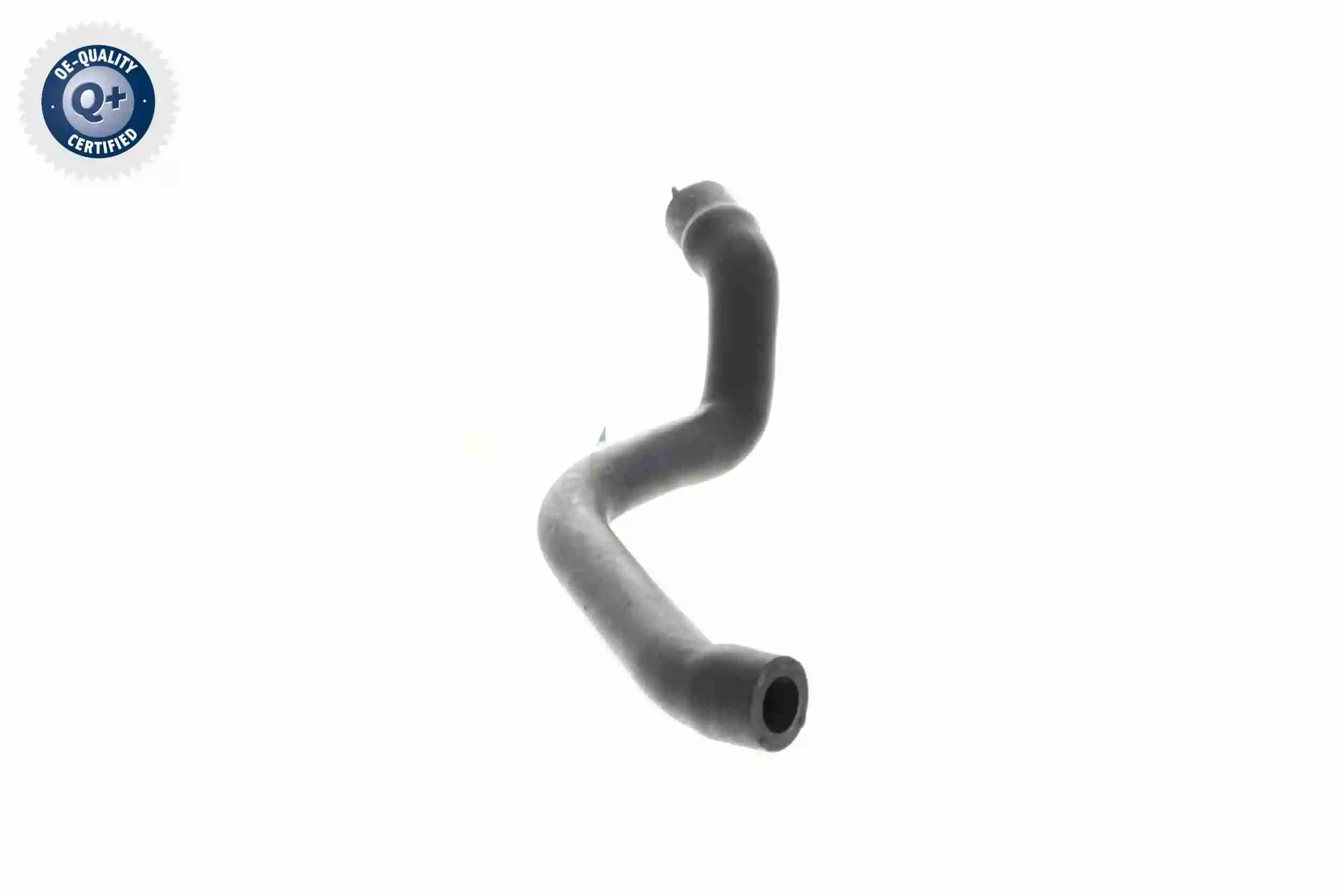 Hose, cylinder head cover ventilation Original VAICO Quality V30-2536