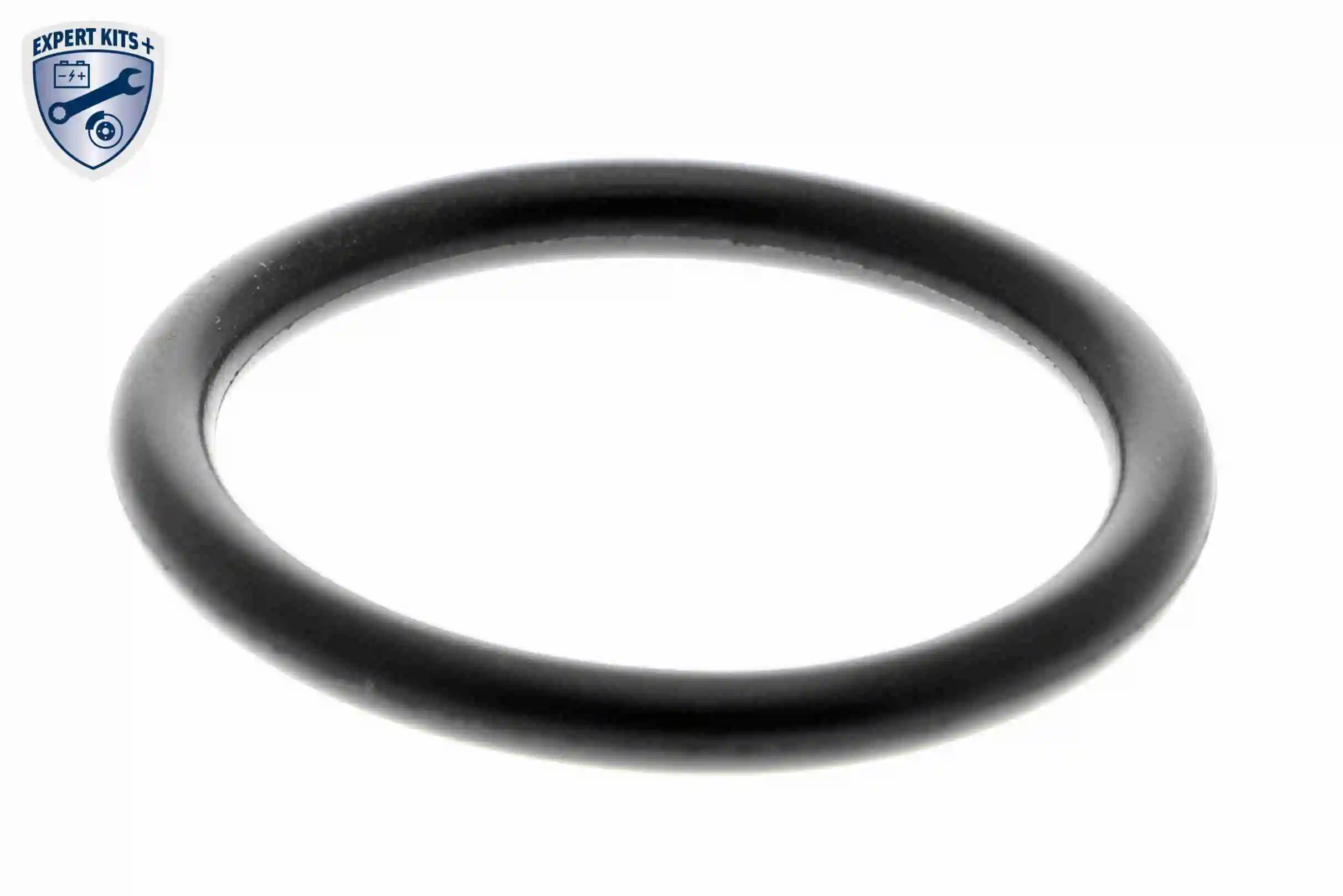 Repair Kit, oil sump EXPERT KITS + V10-4837