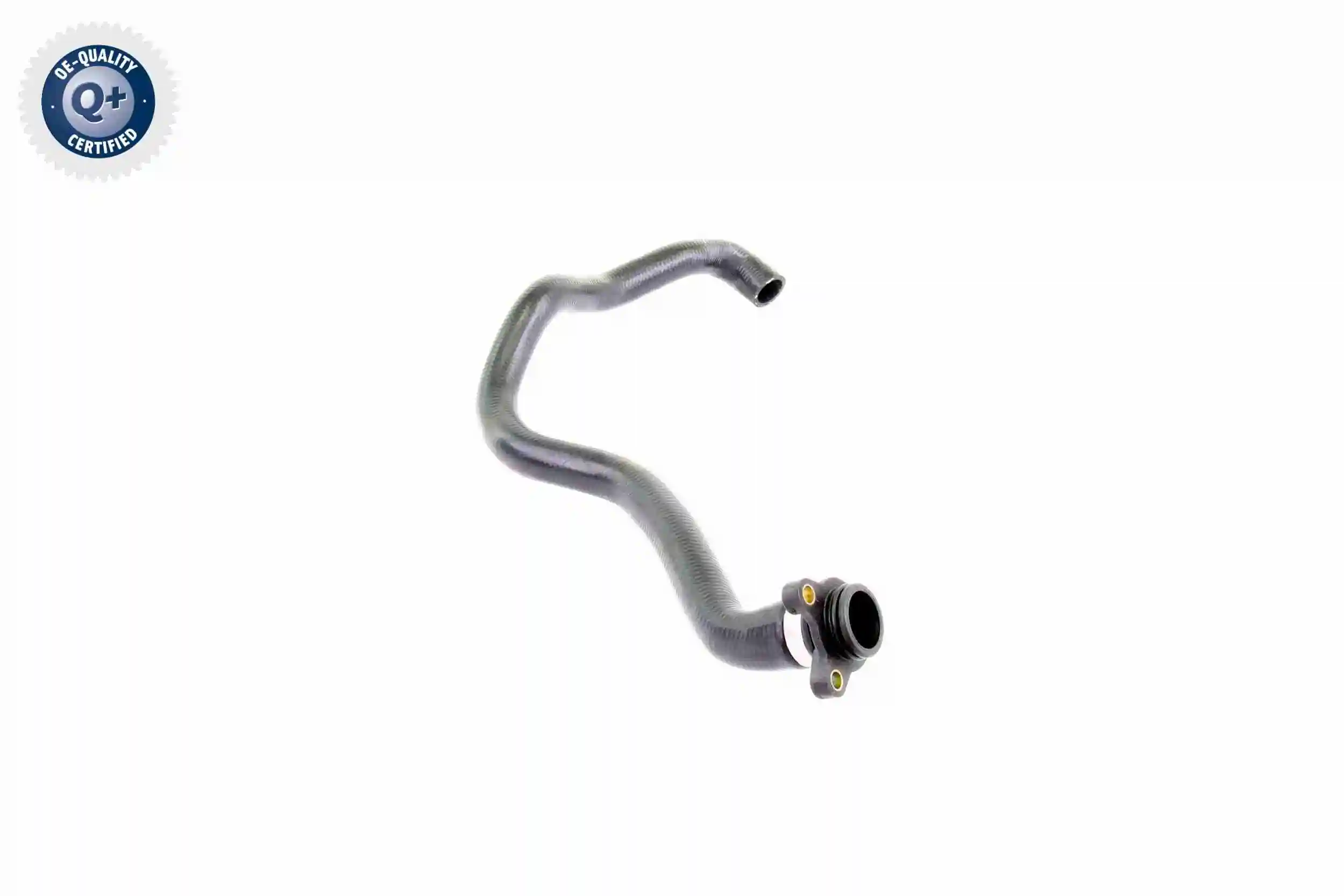 Radiator Hose Q+, original equipment manufacturer quality V20-2311
