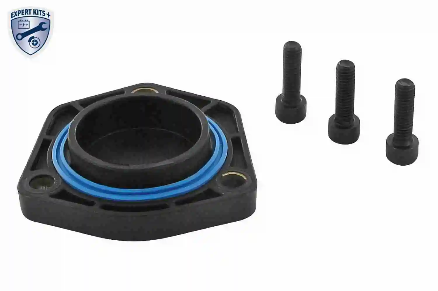 Dichtung, Ölwanne EXPERT KITS + V10-2638