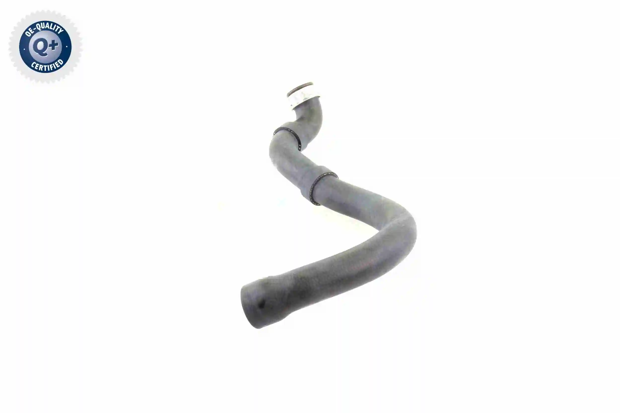 Radiator Hose Q+, original equipment manufacturer quality V30-1661