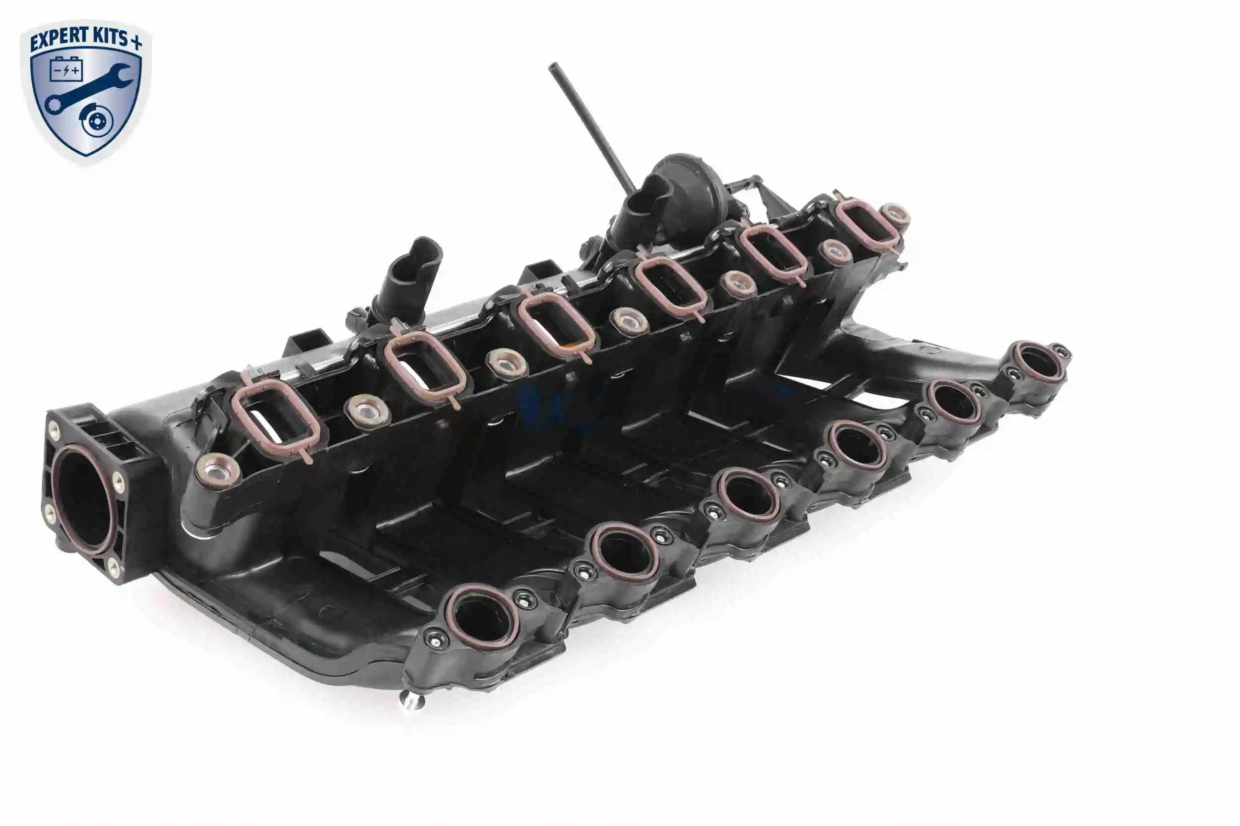 Intake Manifold Module EXPERT KITS + V20-3002