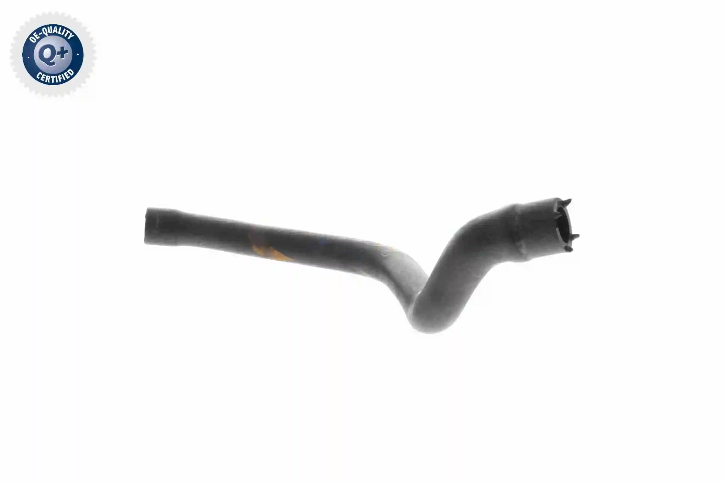 Hose, cylinder head cover ventilation Original VAICO Quality V30-2536