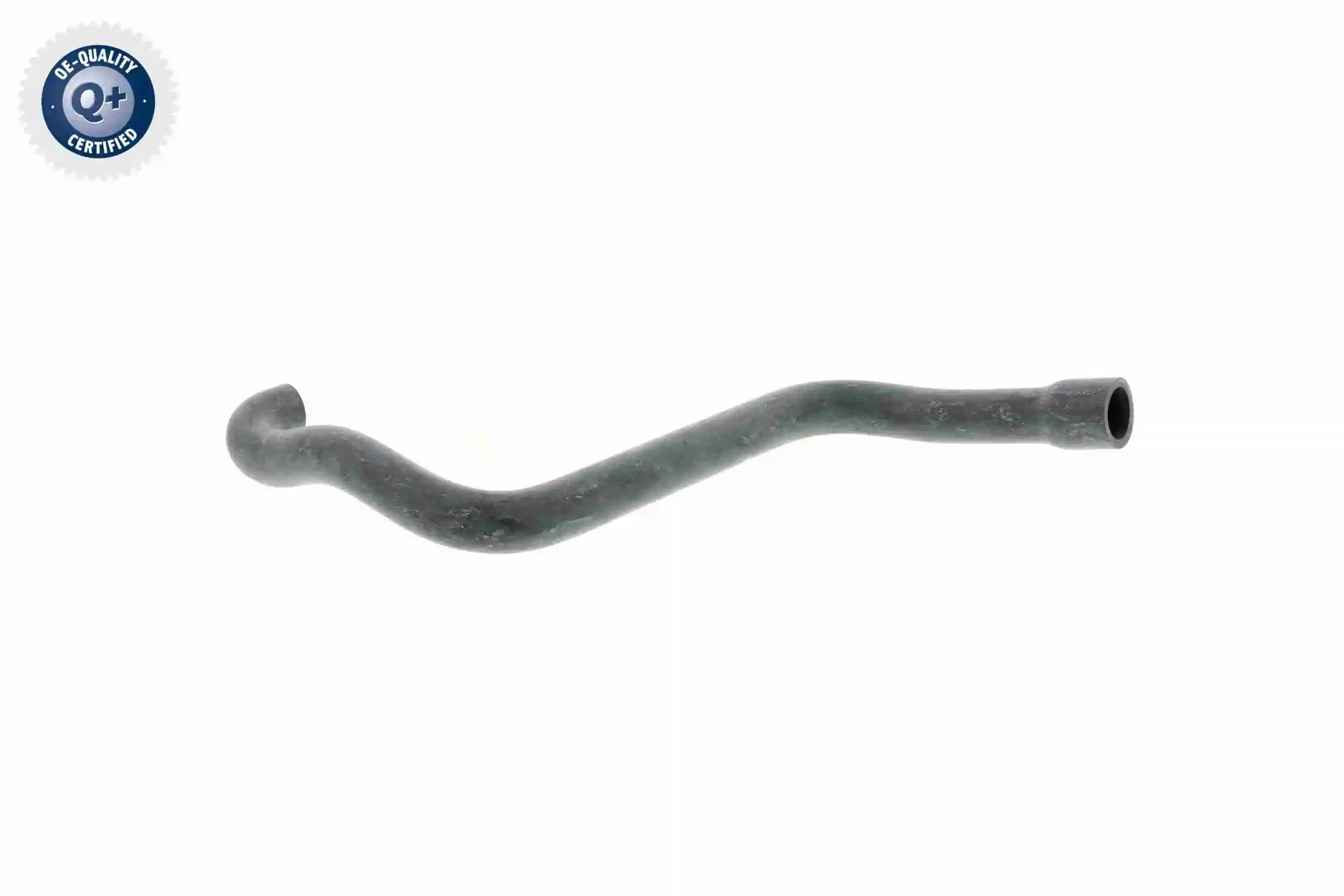 Hose, cylinder head cover ventilation Original VAICO Quality V20-2080