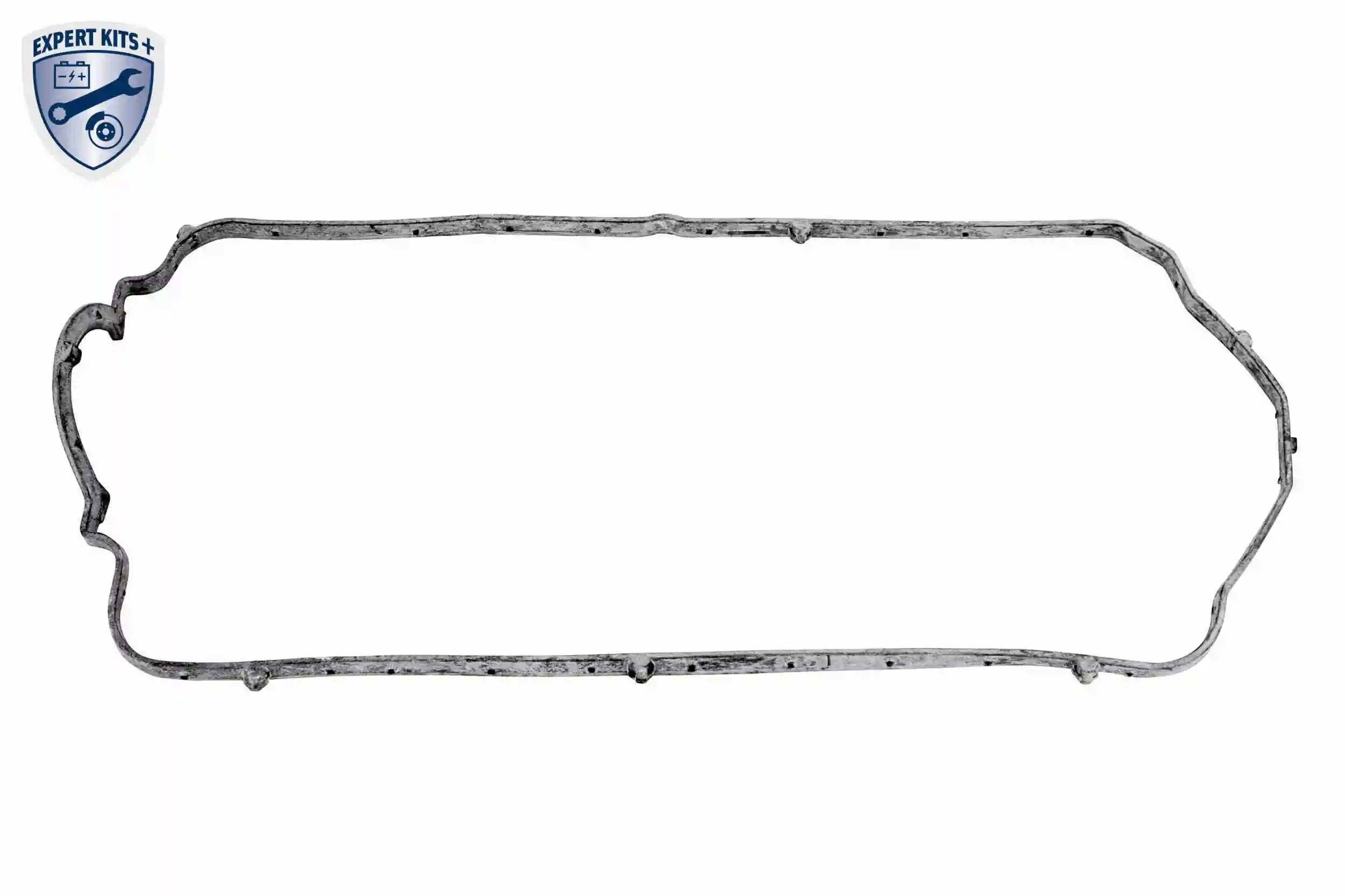 Cylinder Head Cover EXPERT KITS + V46-1401