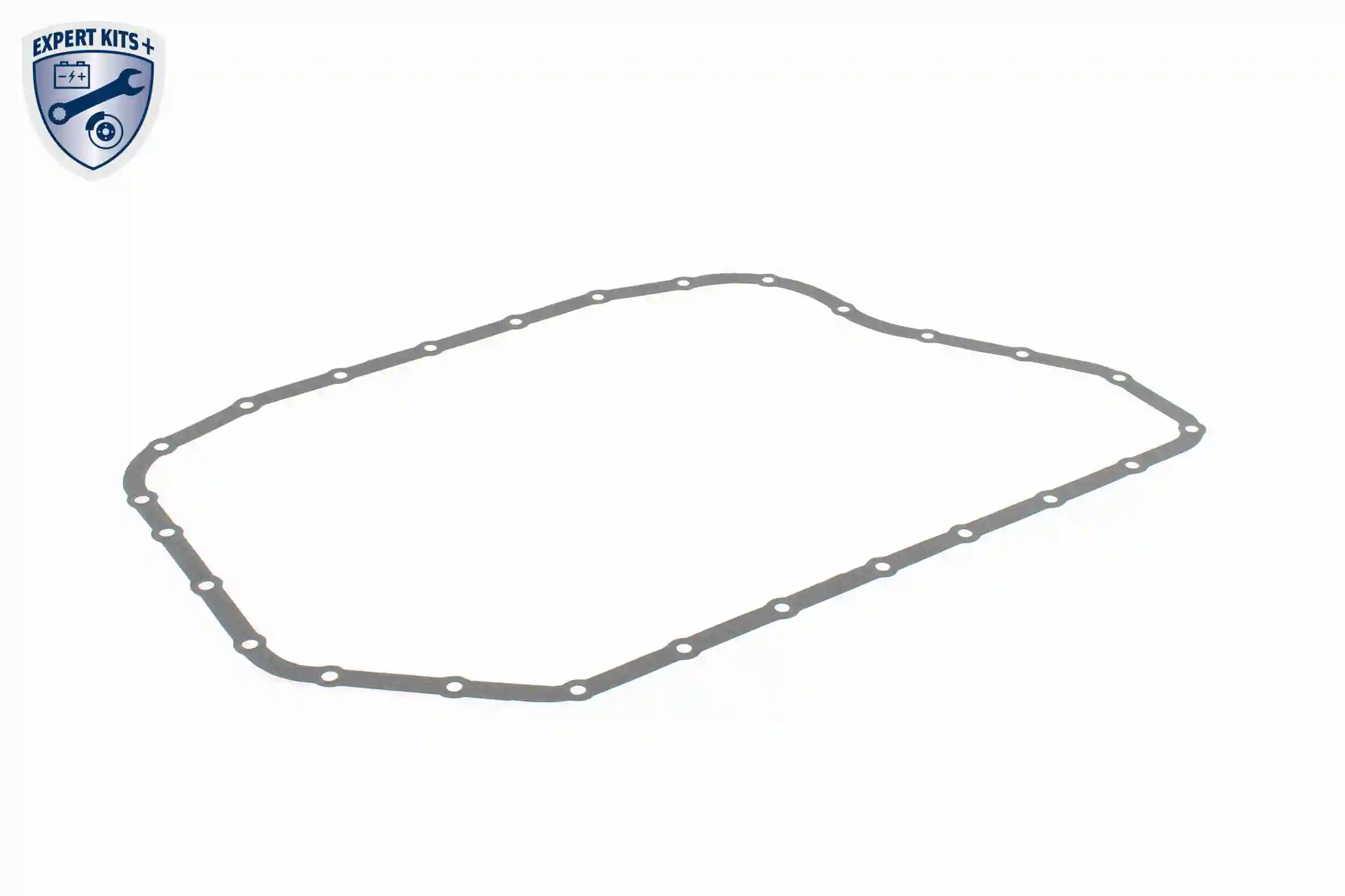 Hydraulic Filter Kit, automatic transmission EXPERT KITS + V10-2361