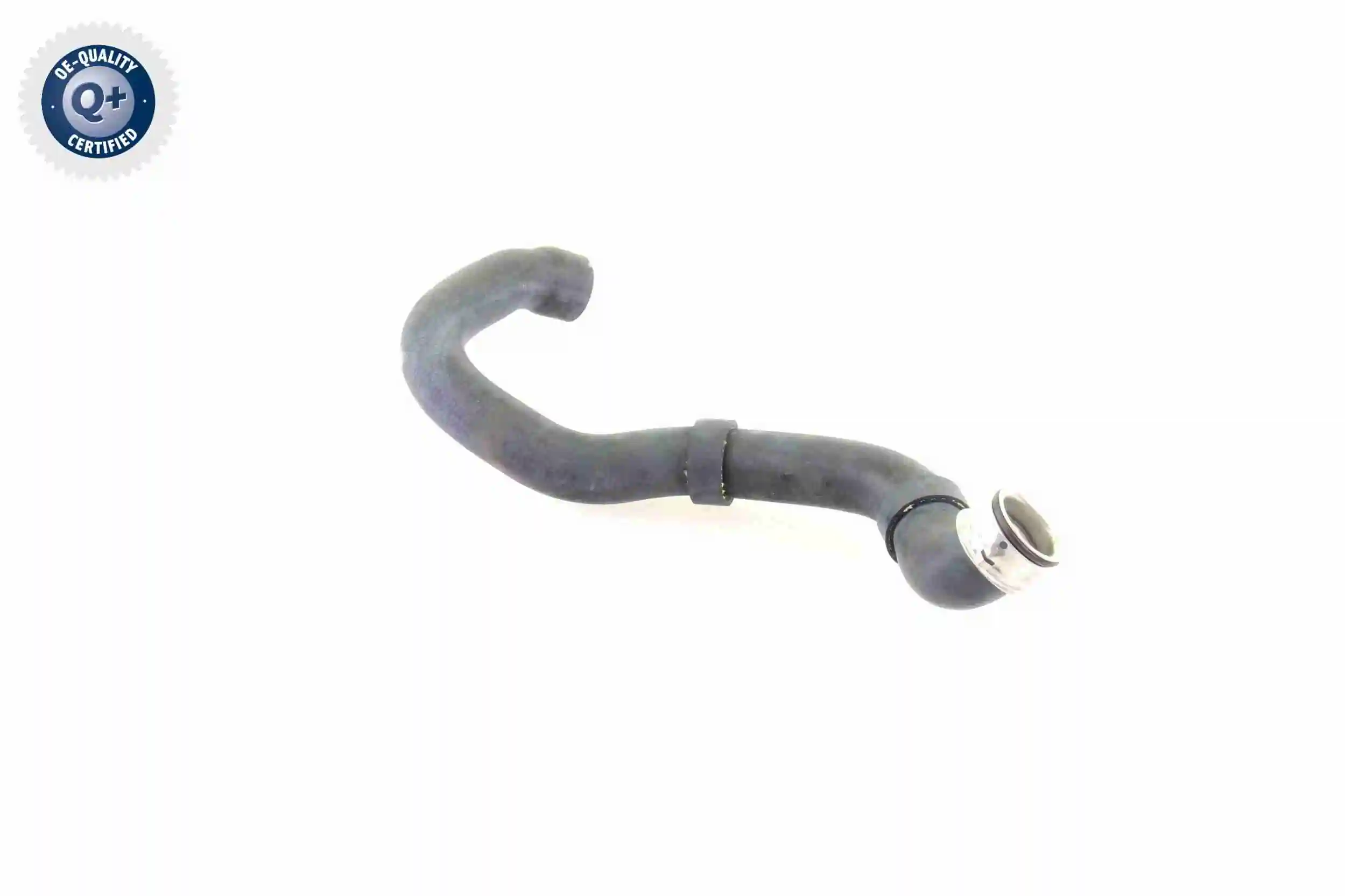 Radiator Hose Q+, original equipment manufacturer quality V30-1661