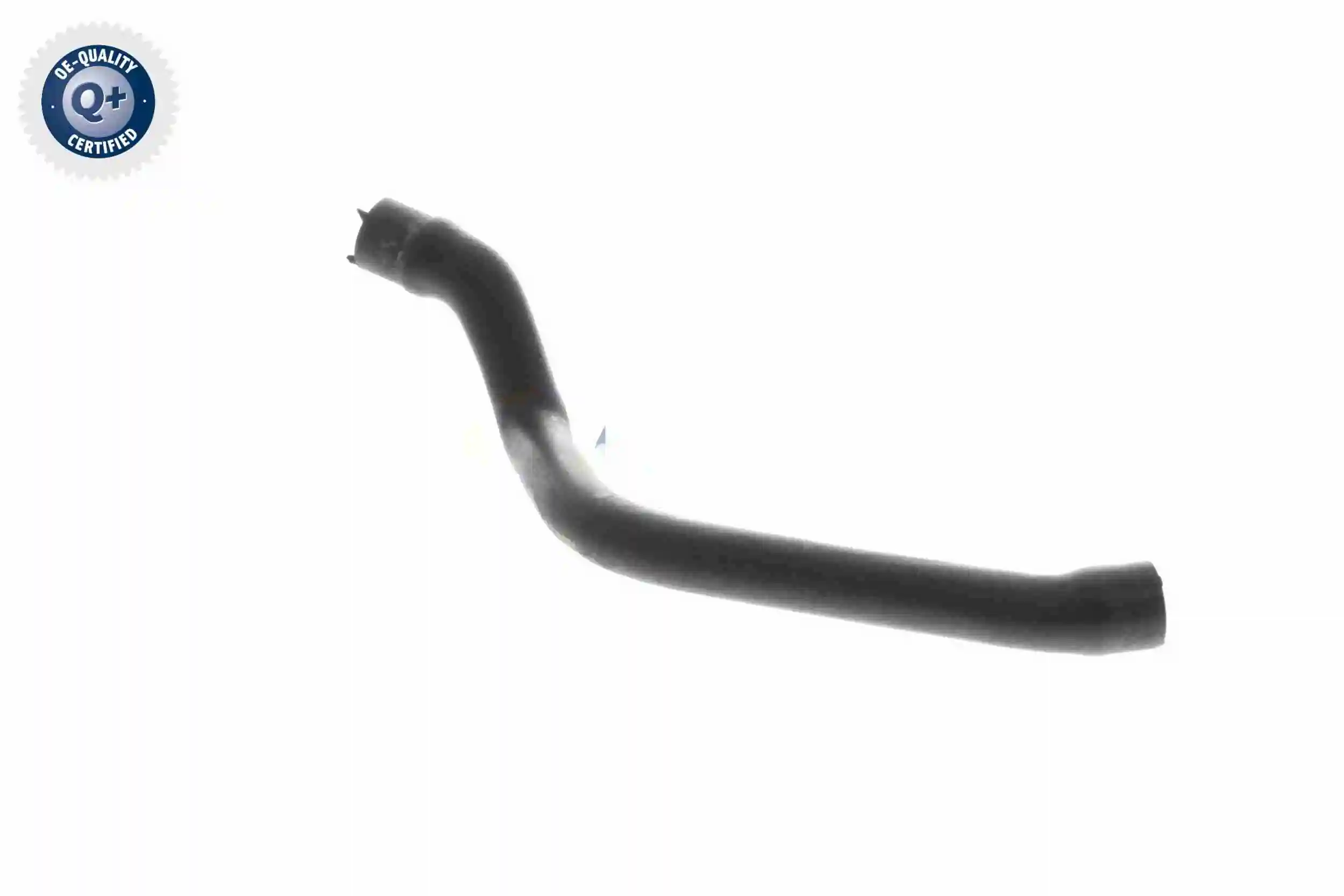 Hose, cylinder head cover ventilation Original VAICO Quality V30-2536