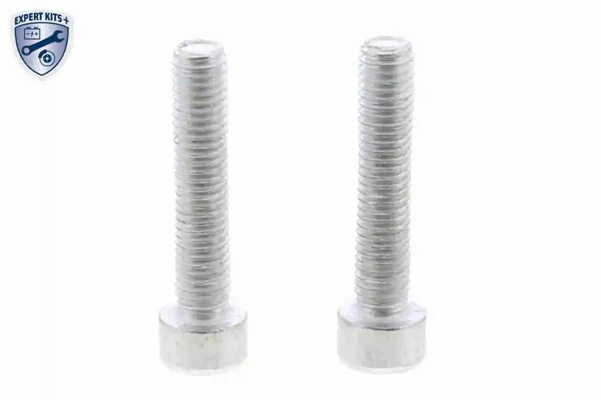 Hydraulic Filter, multi-plate clutch (all-wheel drive) EXPERT KITS + V48-0263