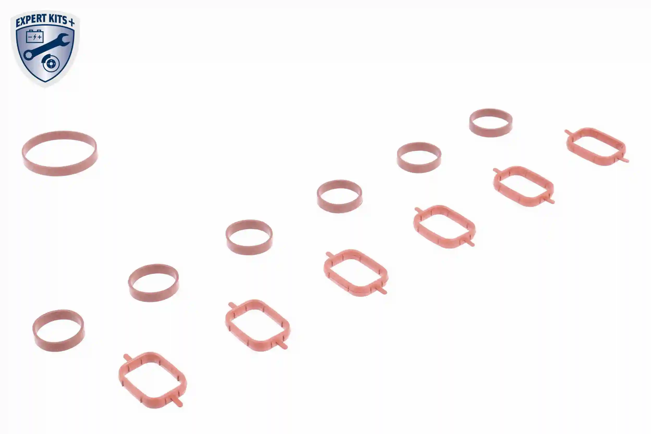 Intake Manifold Module EXPERT KITS + V20-3002