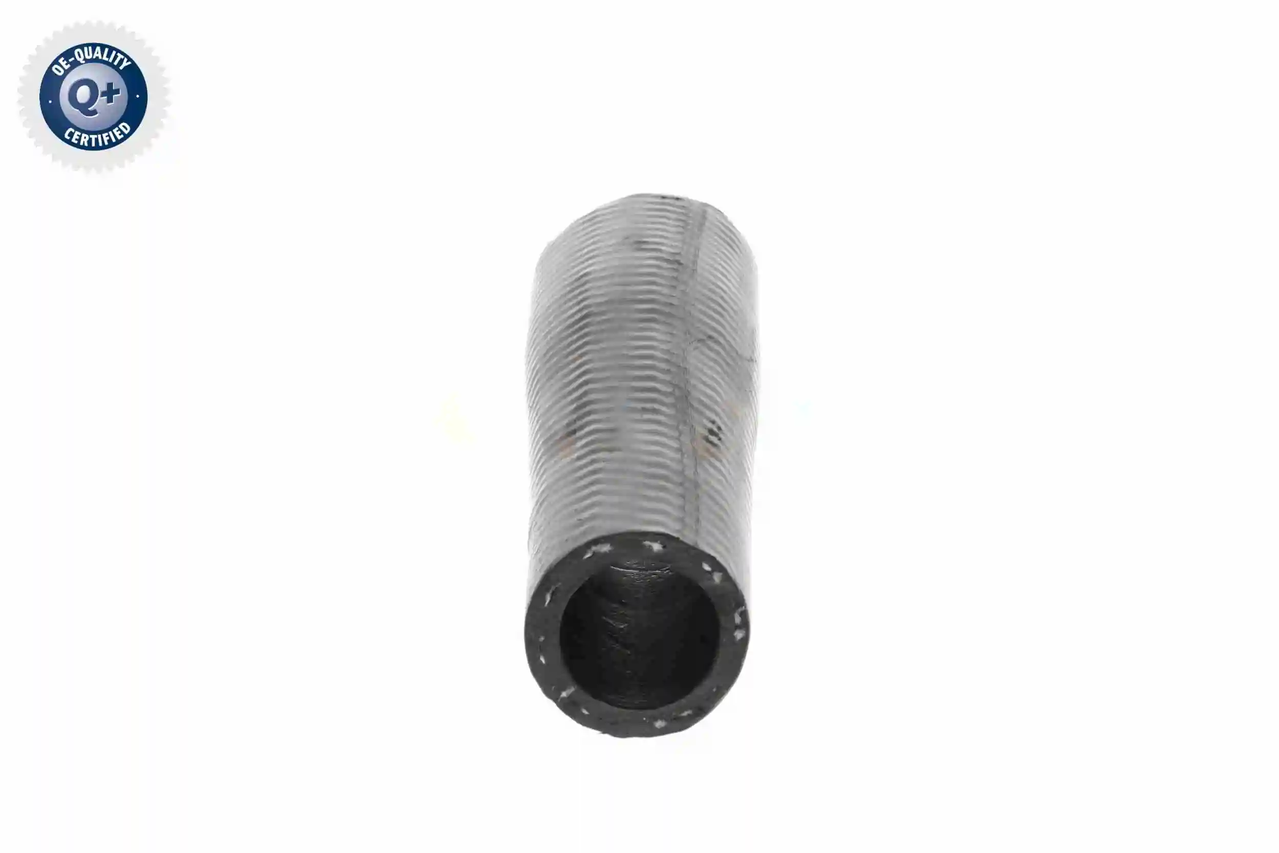 Radiator Hose Q+, original equipment manufacturer quality V10-2805