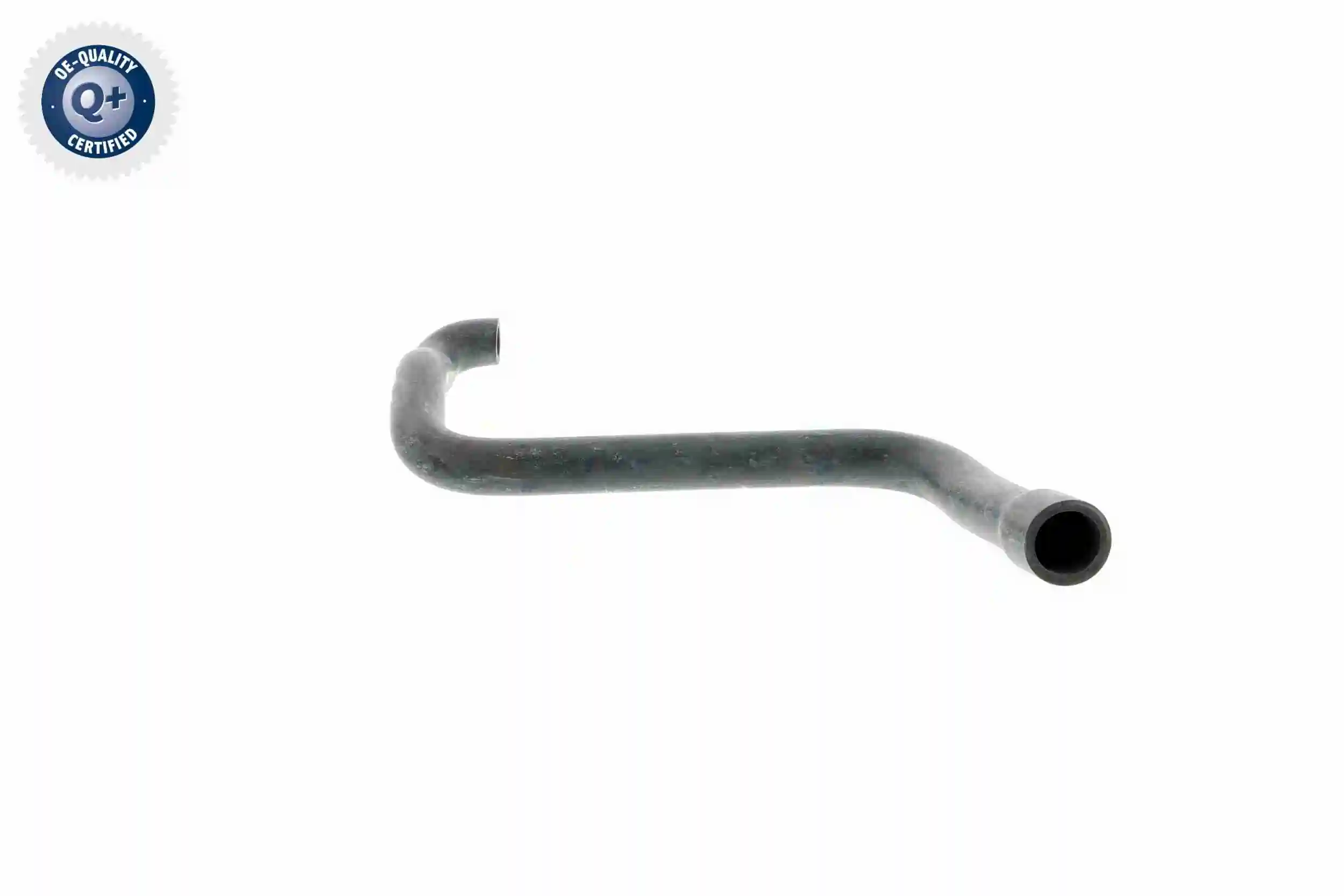 Hose, cylinder head cover ventilation Original VAICO Quality V20-2080