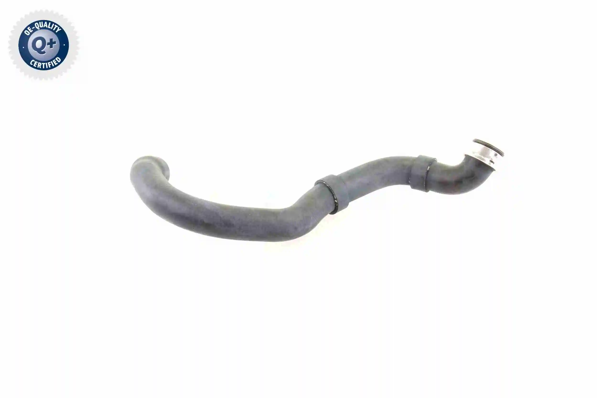 Radiator Hose Q+, original equipment manufacturer quality V30-1661