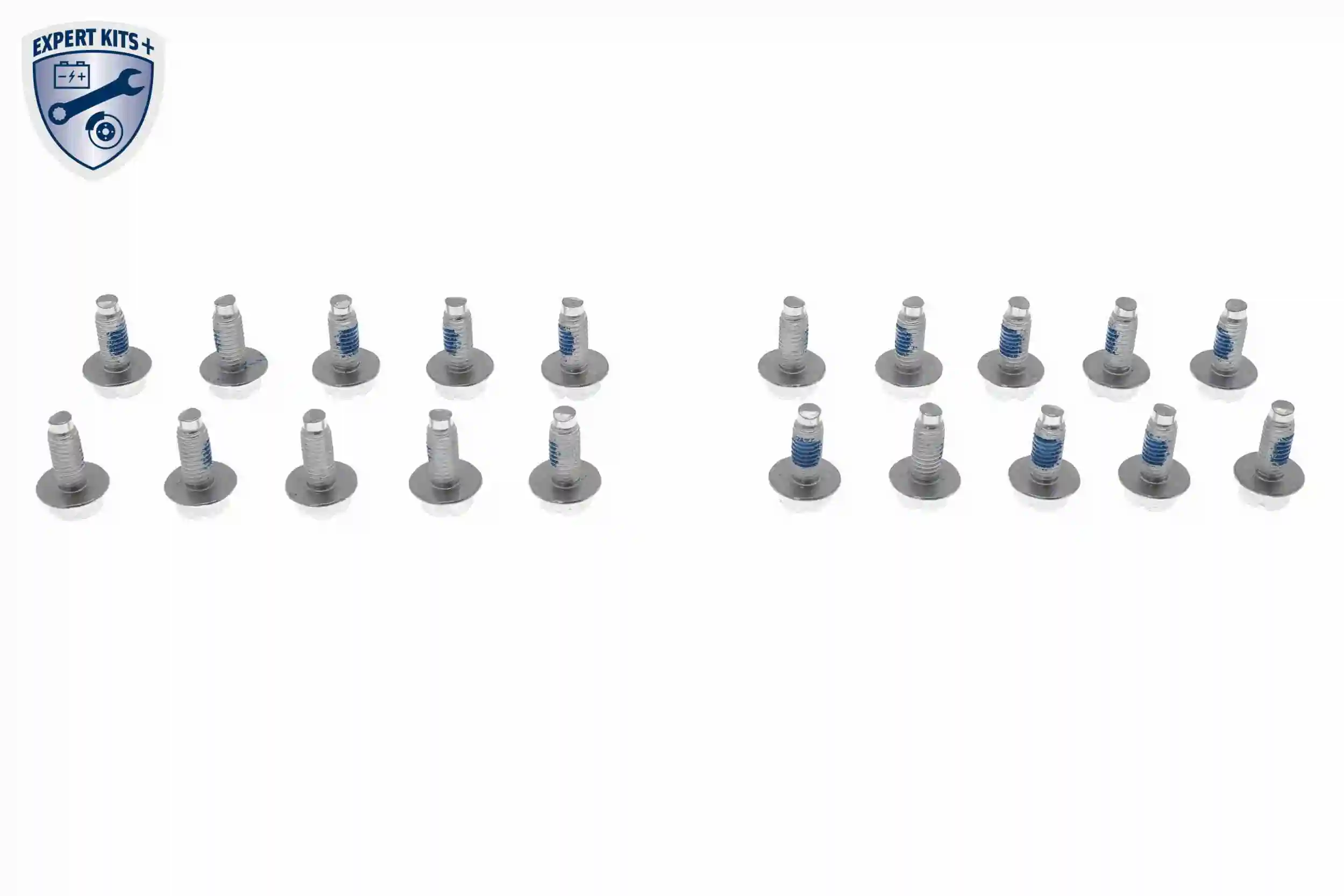 Hydraulic Filter Kit, automatic transmission EXPERT KITS + V20-0335