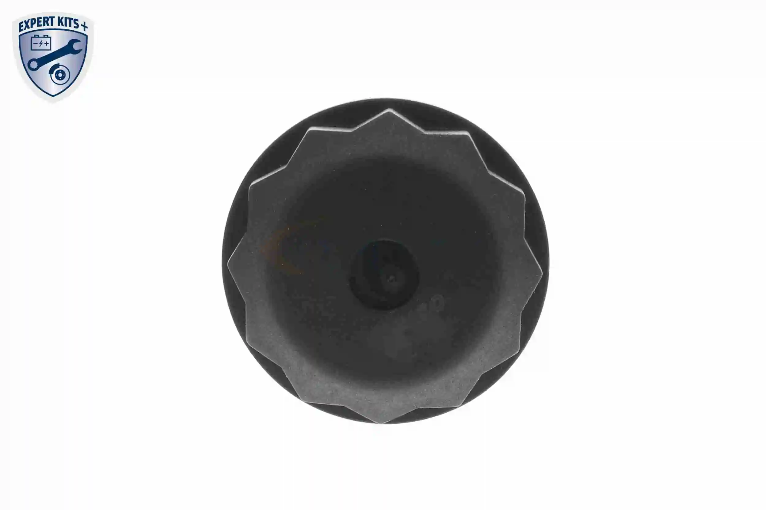 Hydraulic Filter, multi-plate clutch (all-wheel drive) EXPERT KITS + V10-2685