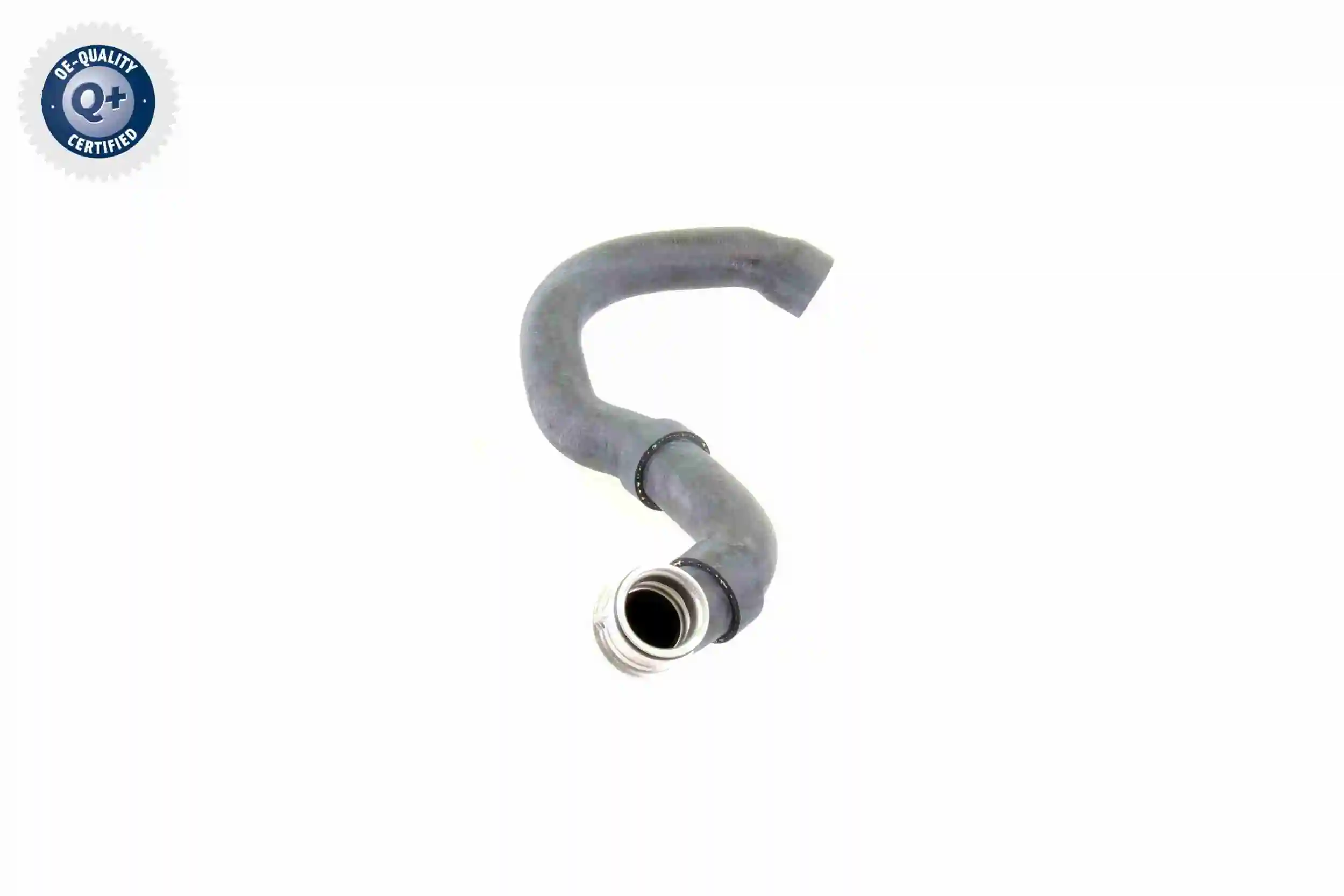 Radiator Hose Q+, original equipment manufacturer quality V30-1661