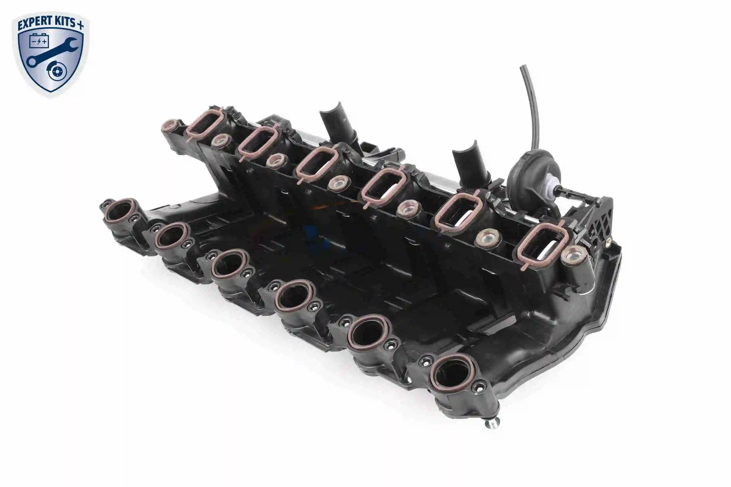 Intake Manifold Module EXPERT KITS + V20-3002