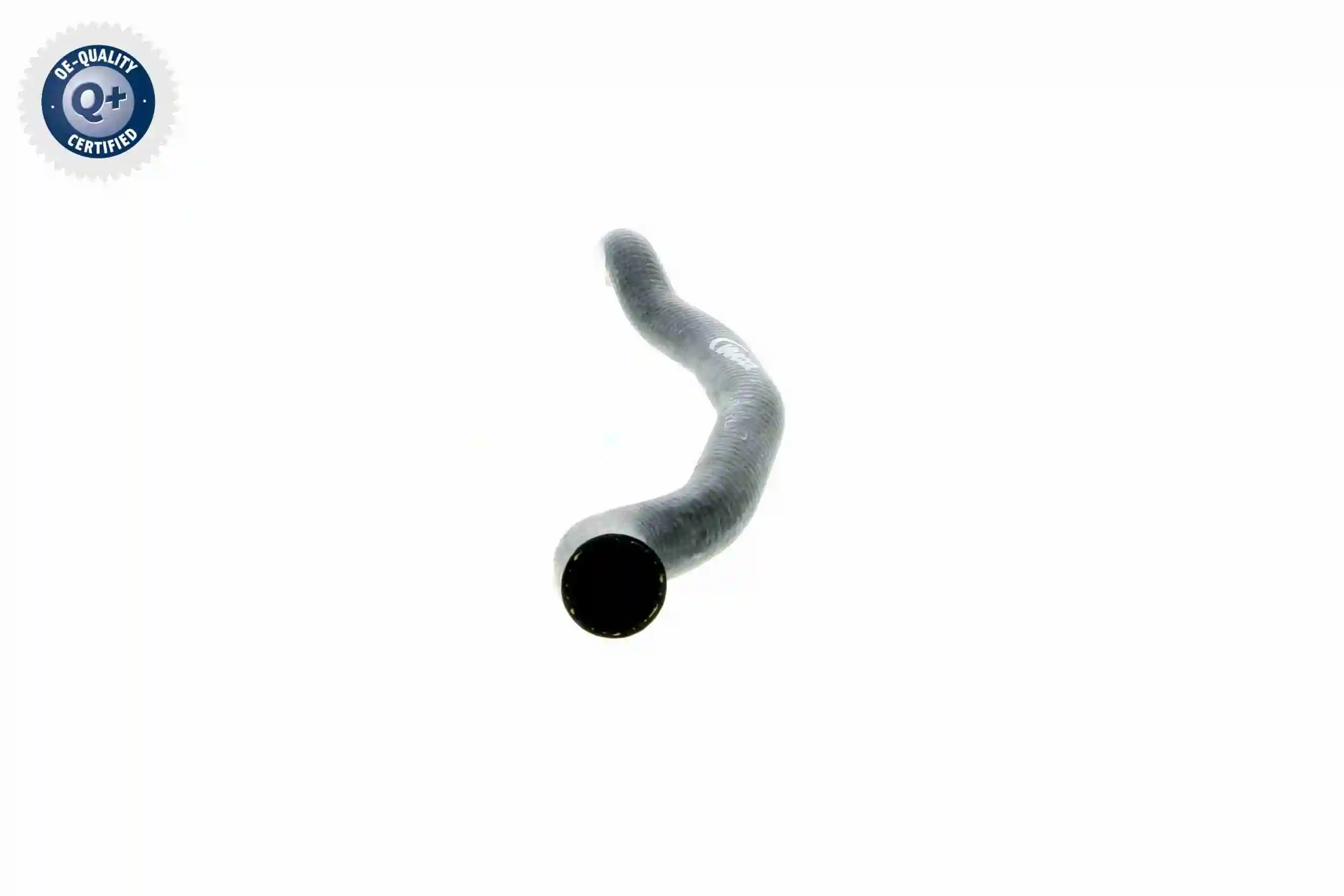 Radiator Hose Q+, original equipment manufacturer quality V20-1648