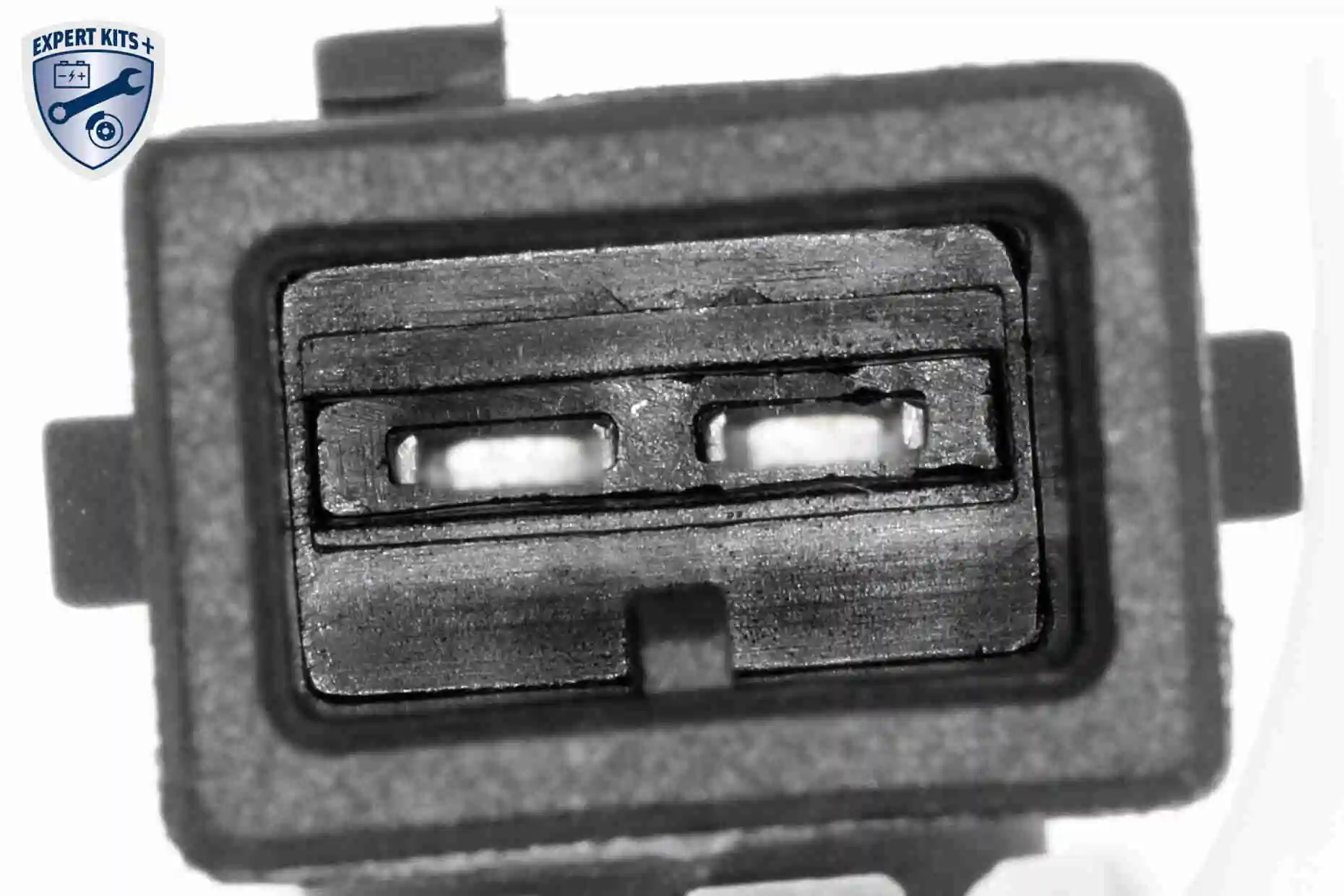 Expansion Tank, coolant EXPERT KITS + V48-0211