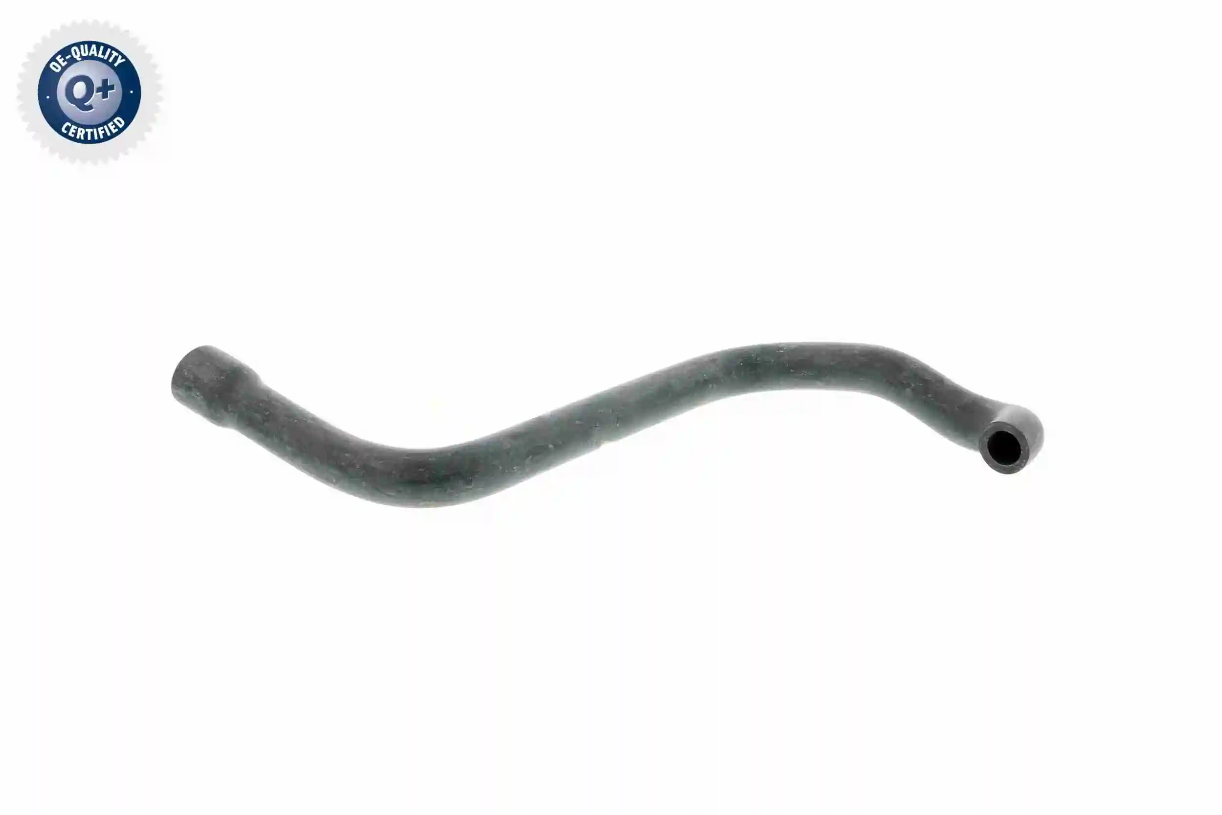 Hose, cylinder head cover ventilation Original VAICO Quality V20-2080