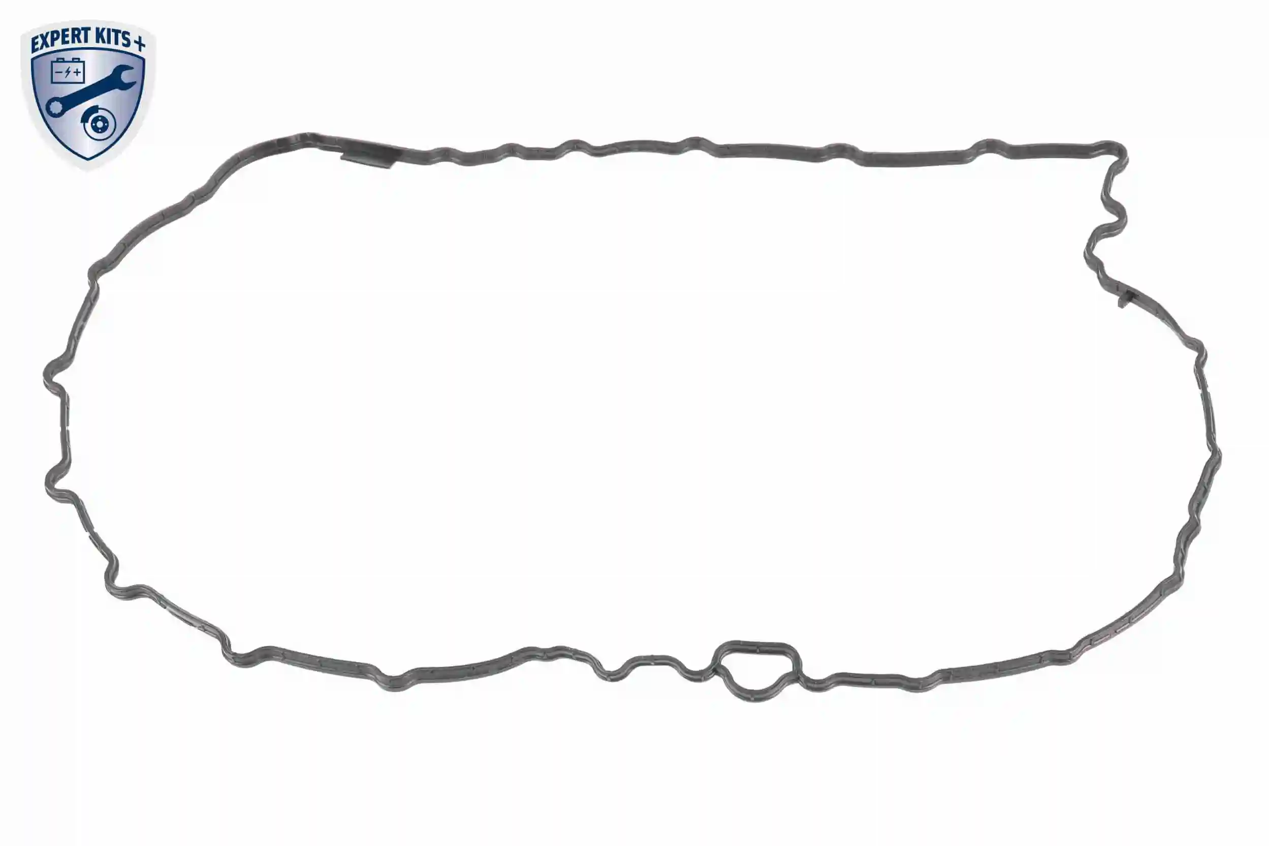 Hydraulic Filter Kit, automatic transmission EXPERT KITS + V10-5391