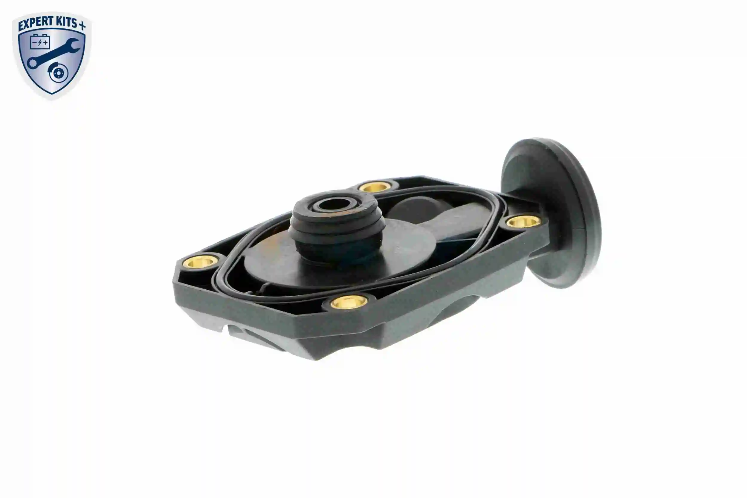 Valve, crankcase ventilation EXPERT KITS + V20-1512