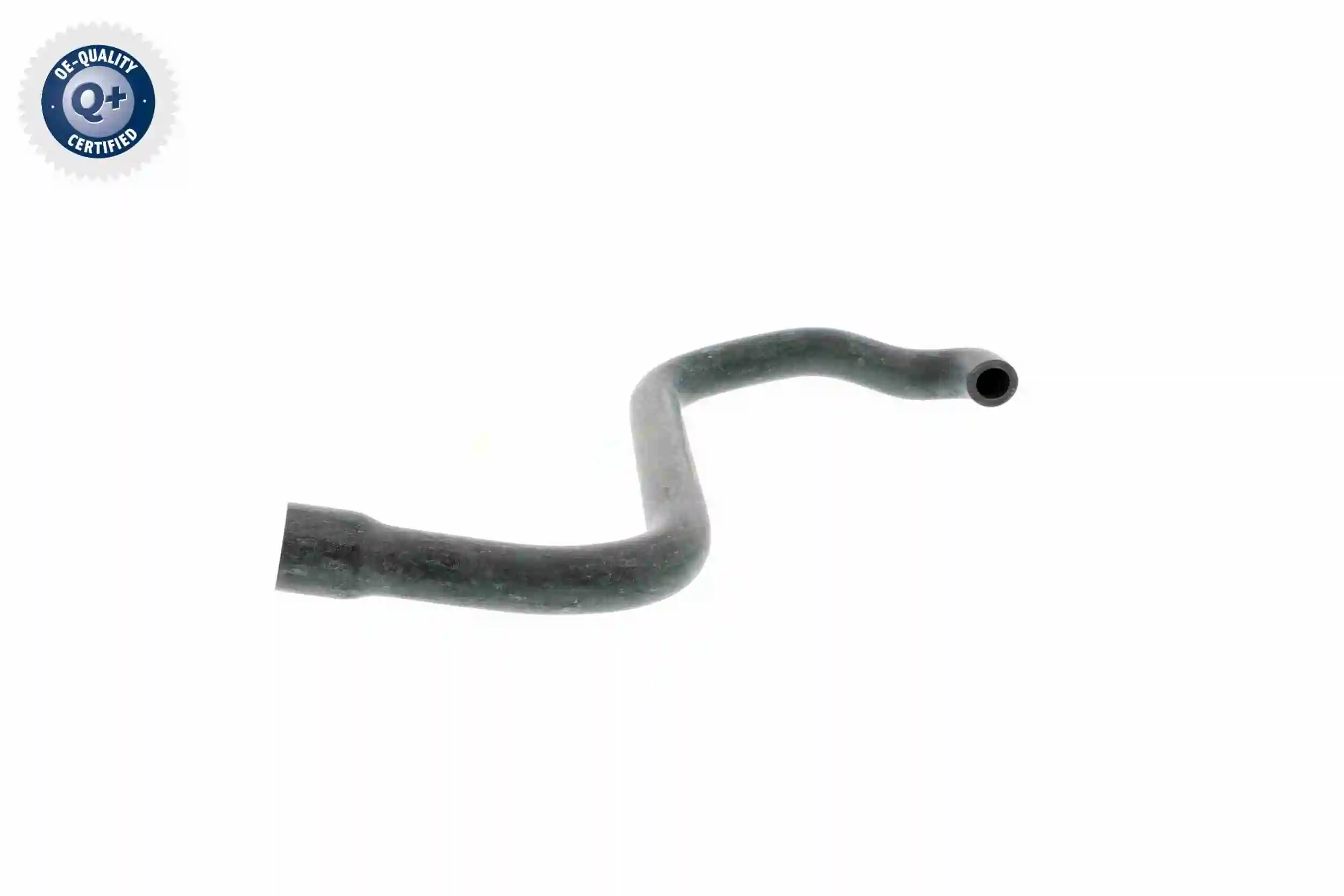 Hose, cylinder head cover ventilation Original VAICO Quality V20-2080