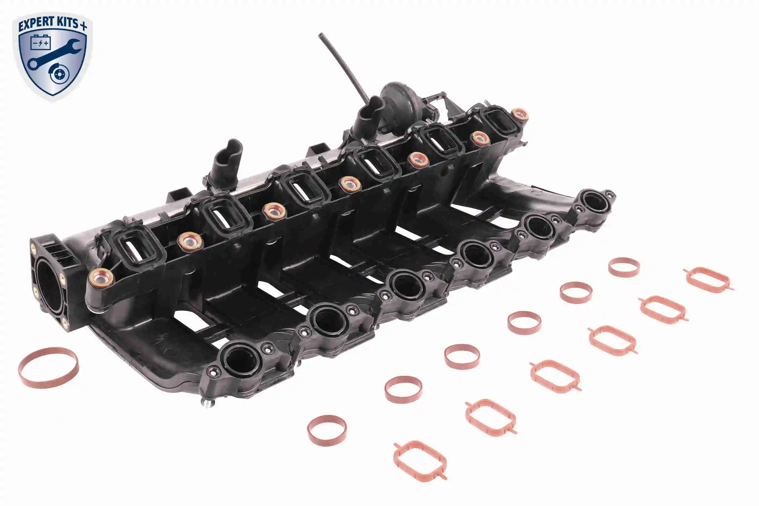 Intake Manifold Module EXPERT KITS + V20-3002