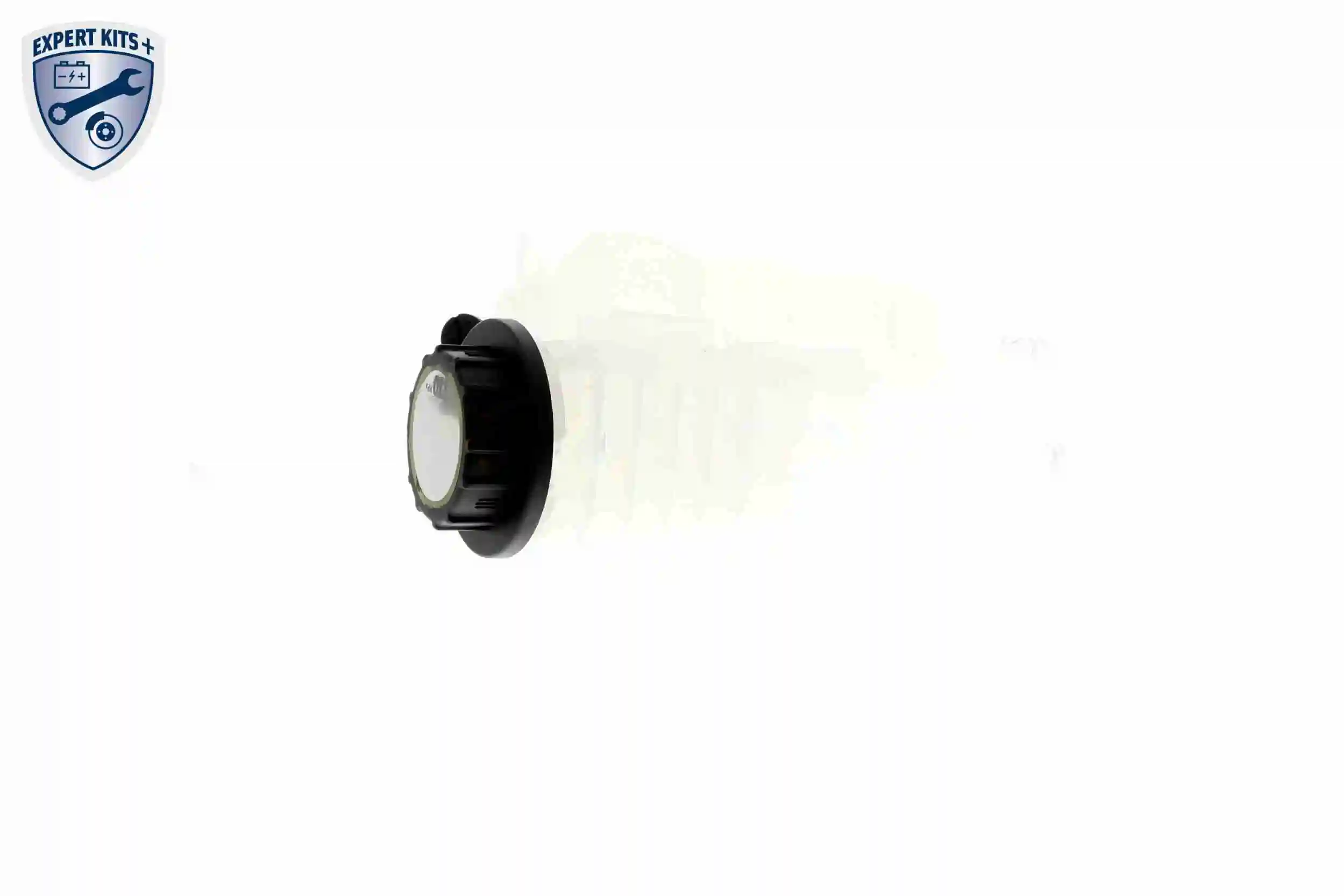 Expansion Tank, coolant EXPERT KITS + V48-0162