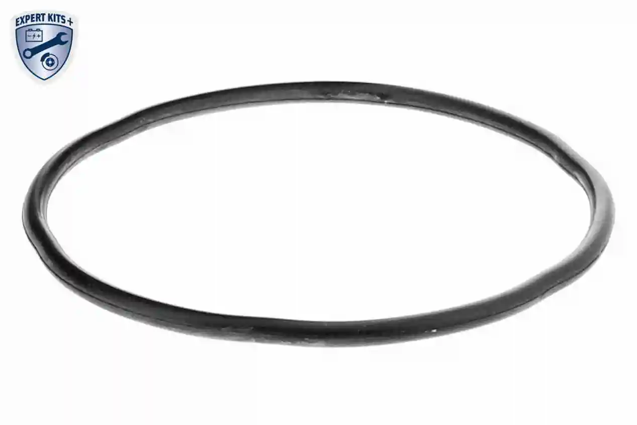 Housing, fuel filter EXPERT KITS + V22-0746