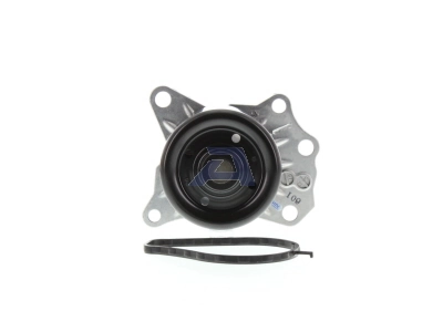 Water Pump, engine cooling WPT-164