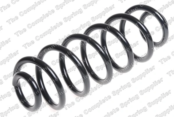 Suspension Spring 4204279