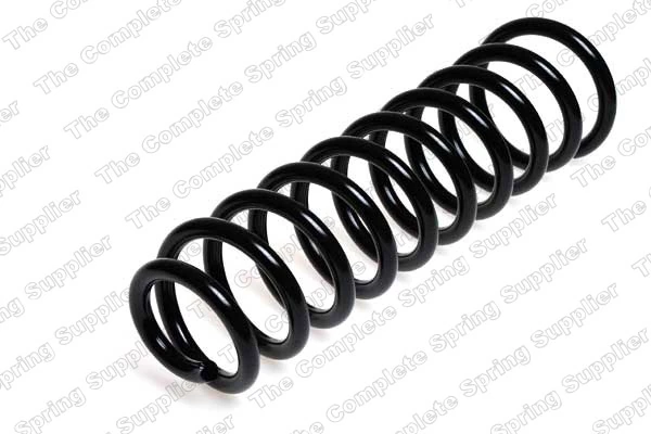 Suspension Spring 4204210