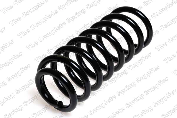 Suspension Spring 4204223