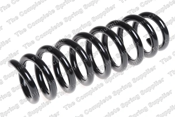 Suspension Spring 4208467