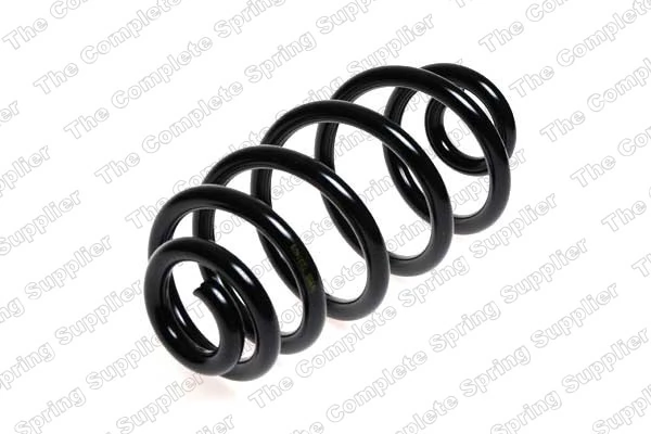 Suspension Spring 4204232