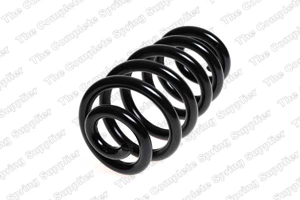 Suspension Spring 4204255