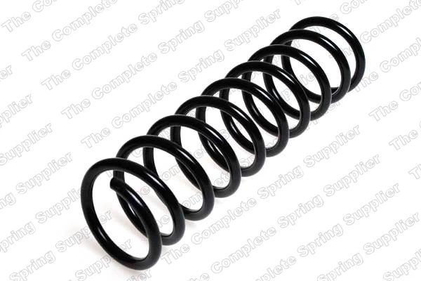 Suspension Spring 4208427