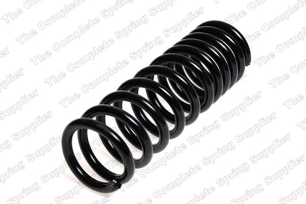Suspension Spring 4208429