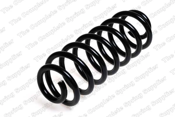 Suspension Spring 4208426