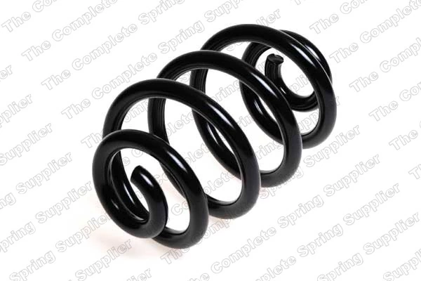 Suspension Spring 4208445