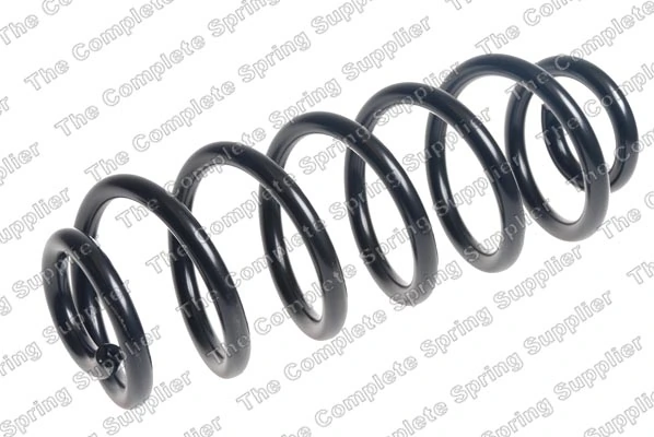 Suspension Spring 4204324