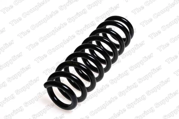 Suspension Spring 4208455