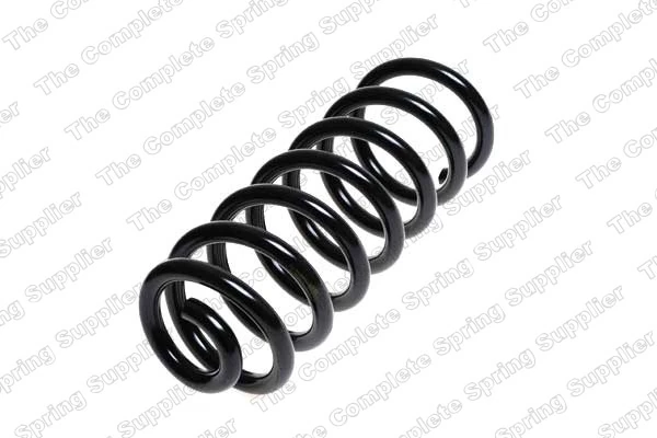 Suspension Spring 4204250