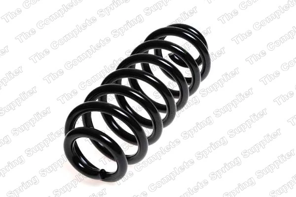 Suspension Spring 4208457